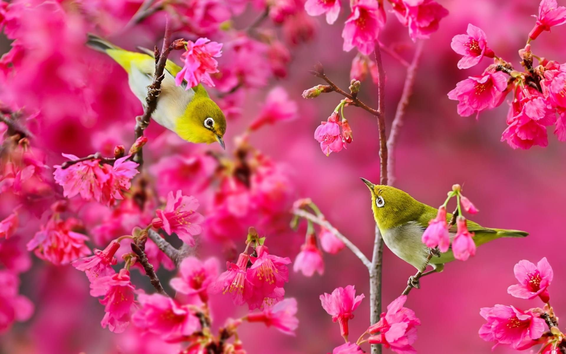 bai ca xuc dong ve tinh yeu va khat vong song hinh 3