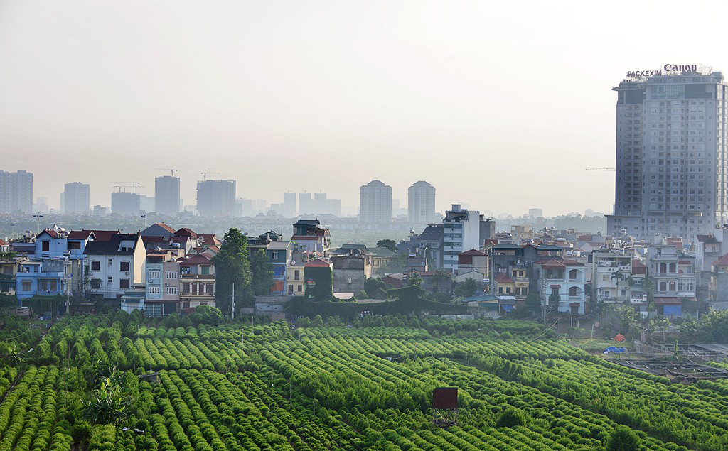 phe duyet de cuong de an nong nghiep do thi thanh pho ha noi hinh 1