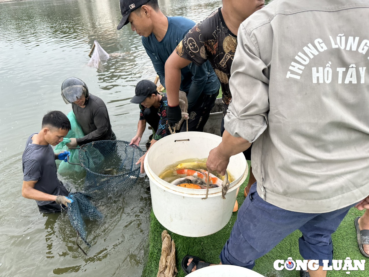 ha noi di chuyen xong 8 tan ca koi khoi ho dam dong hinh 4