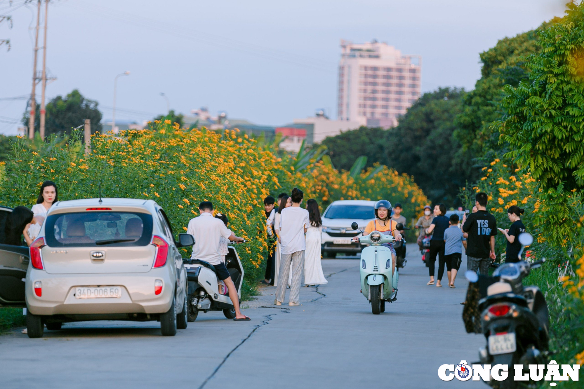 gioi tre dua nhau check in tren con duong hoa da quy ruc ro o tp hai duong hinh 1