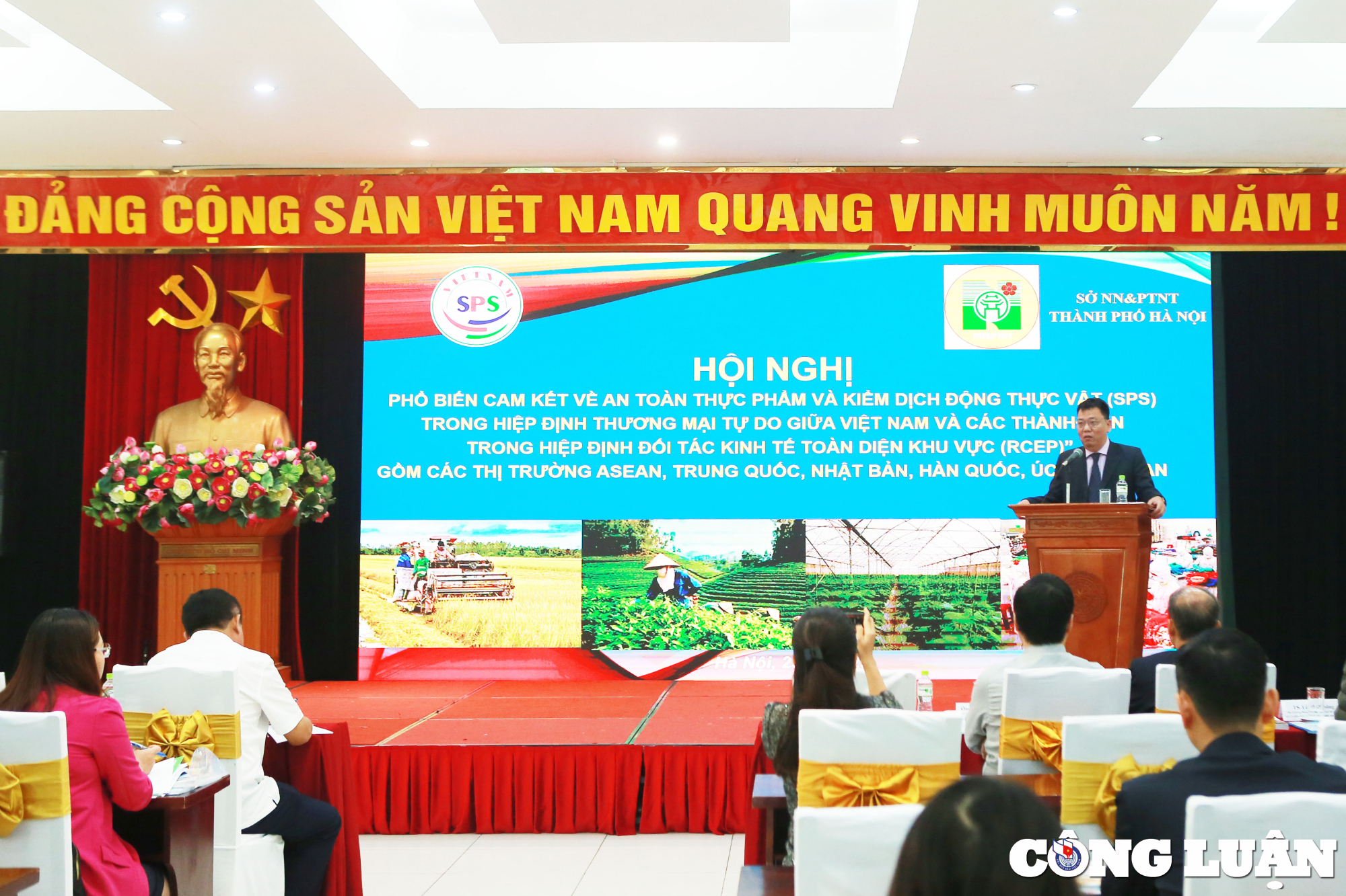 pho giam doc so nong nghiep ha noi noi san pham nong nghiep o thu do co ban an toan 100 hinh 1