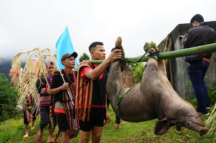 doc dao le cung mang nuoc cua nguoi ca dong hinh 4