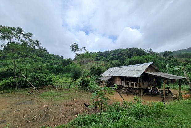 khat khao dien luoi cua dong bao hre hinh 2