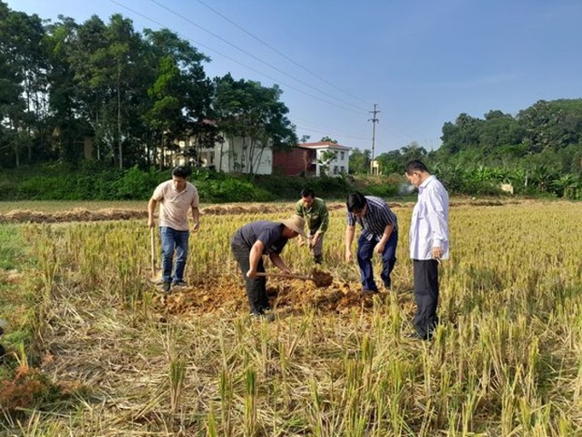 phat hien chau dong co 2000 nam tuoi tai yen bai hinh 1