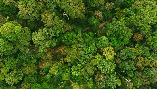 hoi nghi bien doi khi hau cop28 va 5 van de dang luu y hinh 3