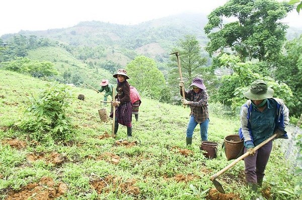 giai quyet dat o dat san xuat cho vung dong bao dan toc thieu so va mien nui trong sua doi luat dat dai hinh 2