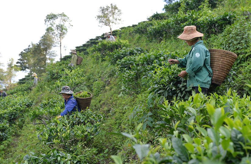 nghe an giai quyet tinh trang thieu dat nha o nuoc sinh hoat o vung dong bao dttsmn la nhiem vu quan trong hinh 2