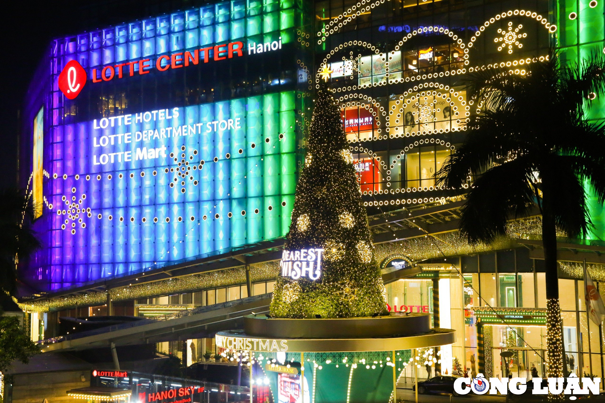 gioi tre ha thanh check in ben cay thong truoc them le giang sinh hinh 7