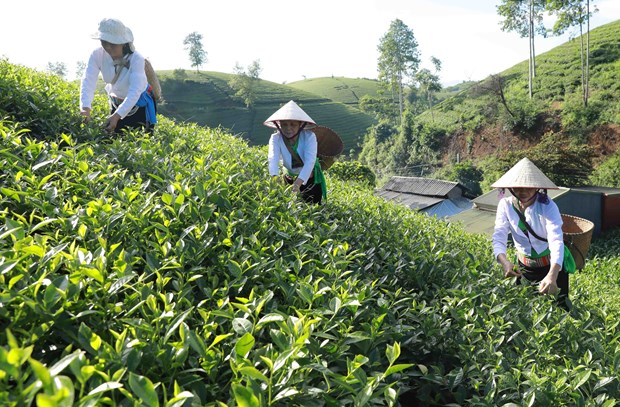 ra soat dieu chinh bo sung he thong van ban quy pham phap luat de thuc hien hieu qua hon chuong trinh mtqg hinh 1