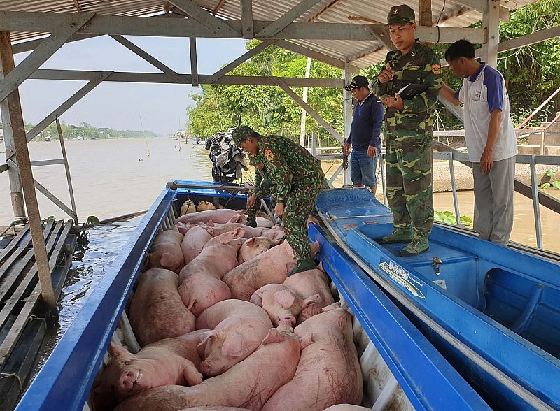 ngan chan triet de cham dut tinh trang nhap lau van chuyen trai phep dong vat vao viet nam hinh 1