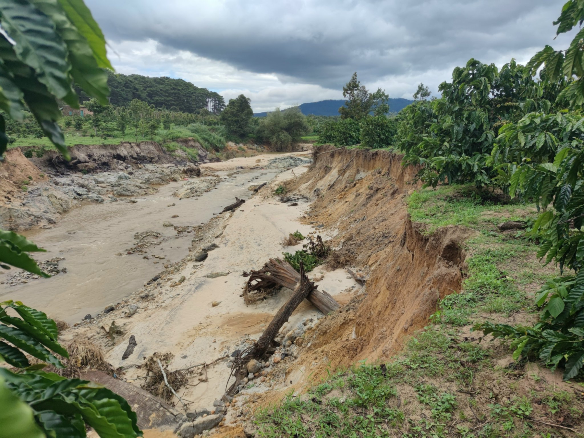 ra soat thong ke anh huong do sat lo nghiem trong quanh mo da trang duc gia lai hinh 3