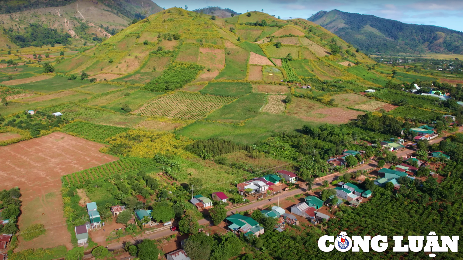 ghe tham nui lua chu dang ya thien duong cua hoa da quy o gia lai hinh 1