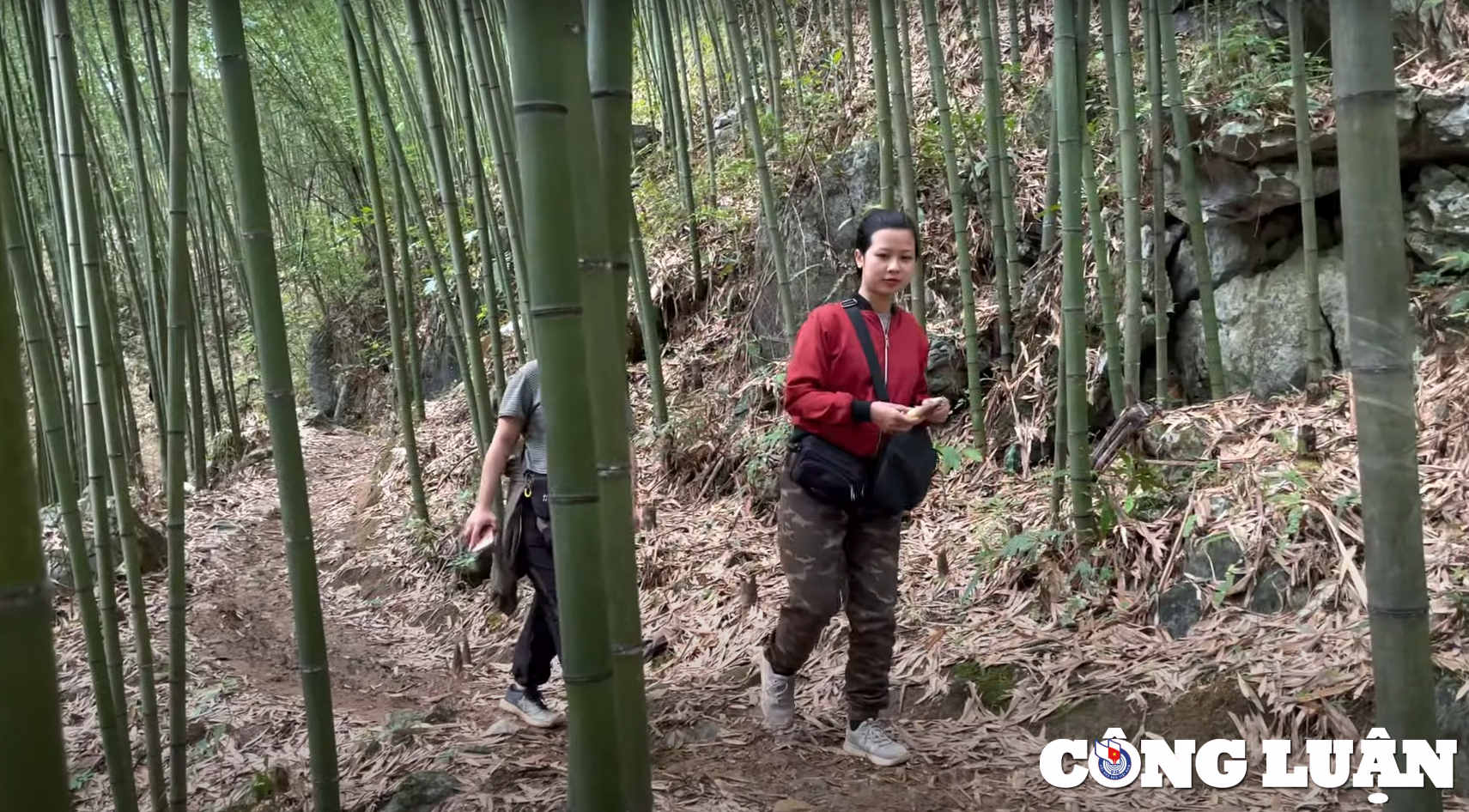 lac vao rung truc sao o ban phuong  cao bang hinh 4