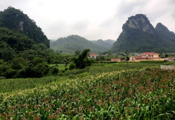 uu tien dau tu cac cong trinh trong diem voi muc tieu nguoi dan duoc huong loi nhieu nhat hinh 2