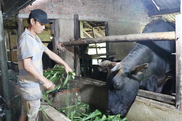 on dinh va phat trien kinh te  xa hoi vung dong bao dan toc thieu so hinh 3