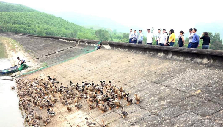 nhu thanh thanh hoa doi moi tu duy va khoi day y chi vuon len phat trien kinh te cua dong bao hinh 5