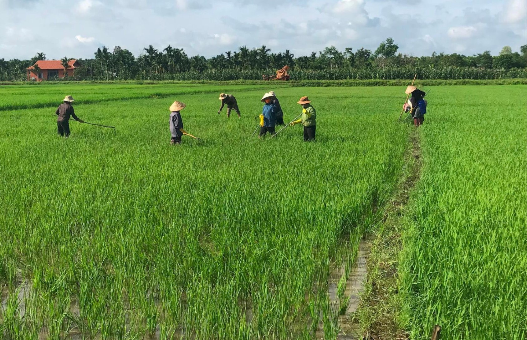 dak mam huyen krong no dak nong hieu qua tu chuong trinh 1719 hinh 1