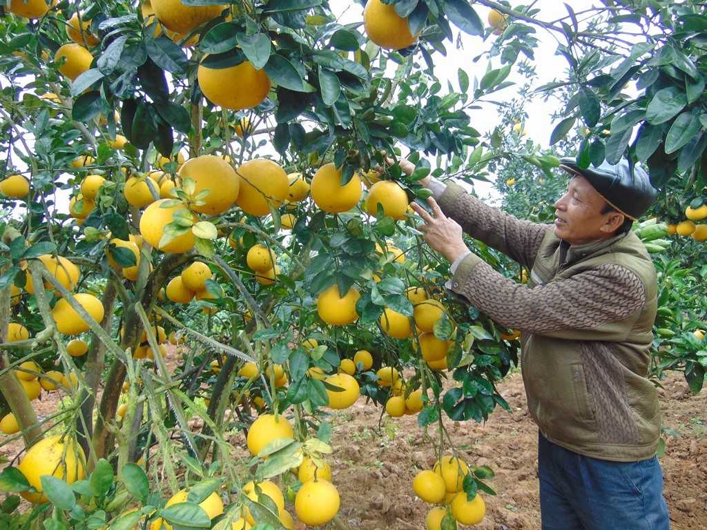 luc ngan khong chi co moi vai thieu duoc ua chuong hinh 1