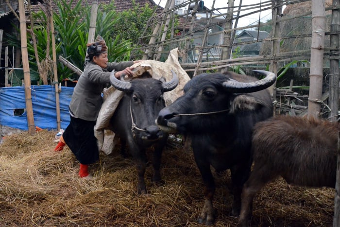 chu dong trien khai cac bien phap ung pho voi ret dam ret hai hinh 1