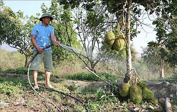 giam dan khoang cach phat trien giua cac vung cac dan toc hinh 1