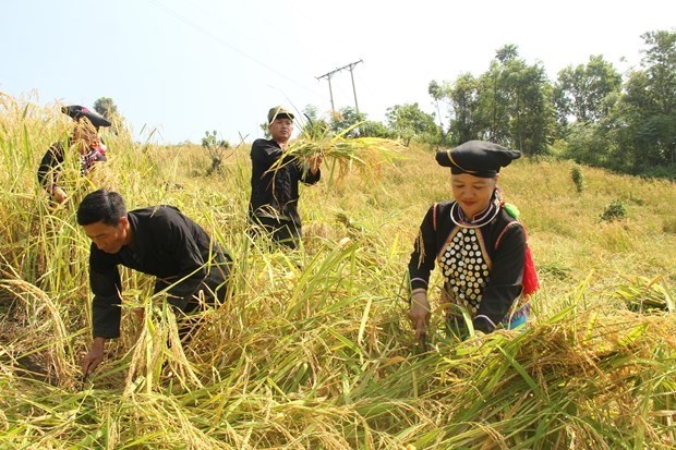 kien nghi tao dieu kien som bo tri nguon von chuong trinh cho vay giai quyet viec lam hinh 1