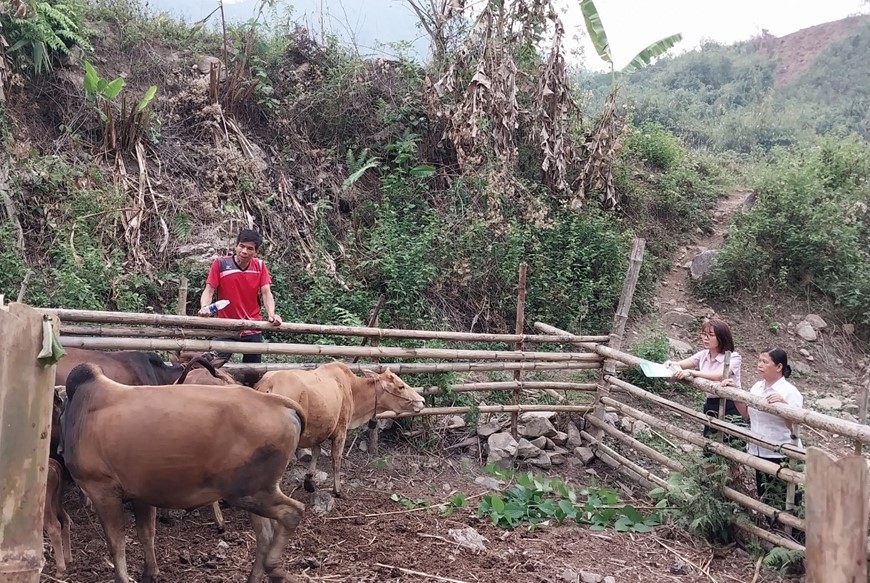 kien nghi tao dieu kien som bo tri nguon von chuong trinh cho vay giai quyet viec lam hinh 2