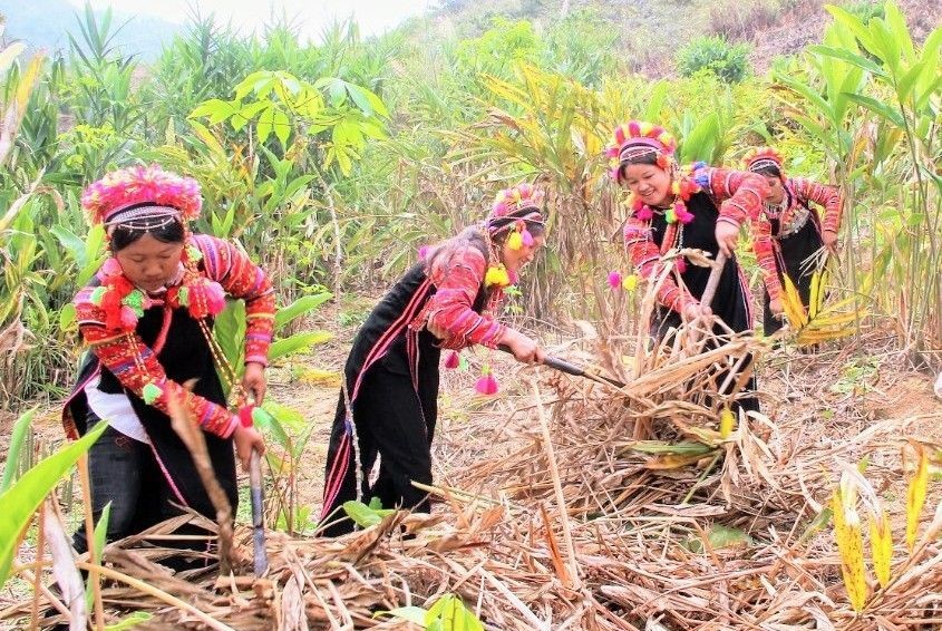 kinh nghiem trong trien khai thuc hien chuong trinh phat trien kinh te xa hoi vung dong bao dan toc thieu so va mien nui hinh 1