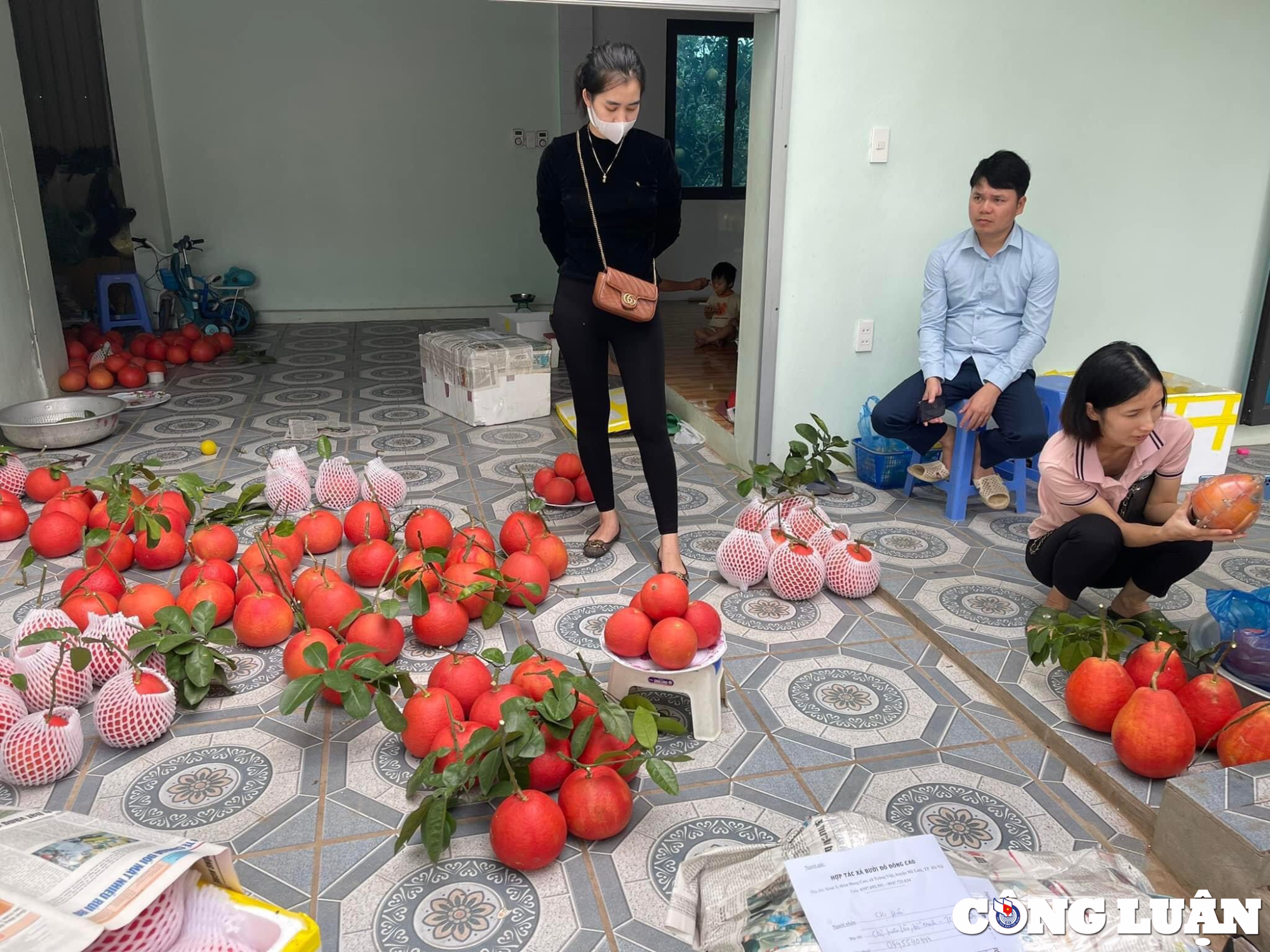 buoi do luan van tien vua hut khach dip can tet thuong lai tranh nhau dat coc hinh 3