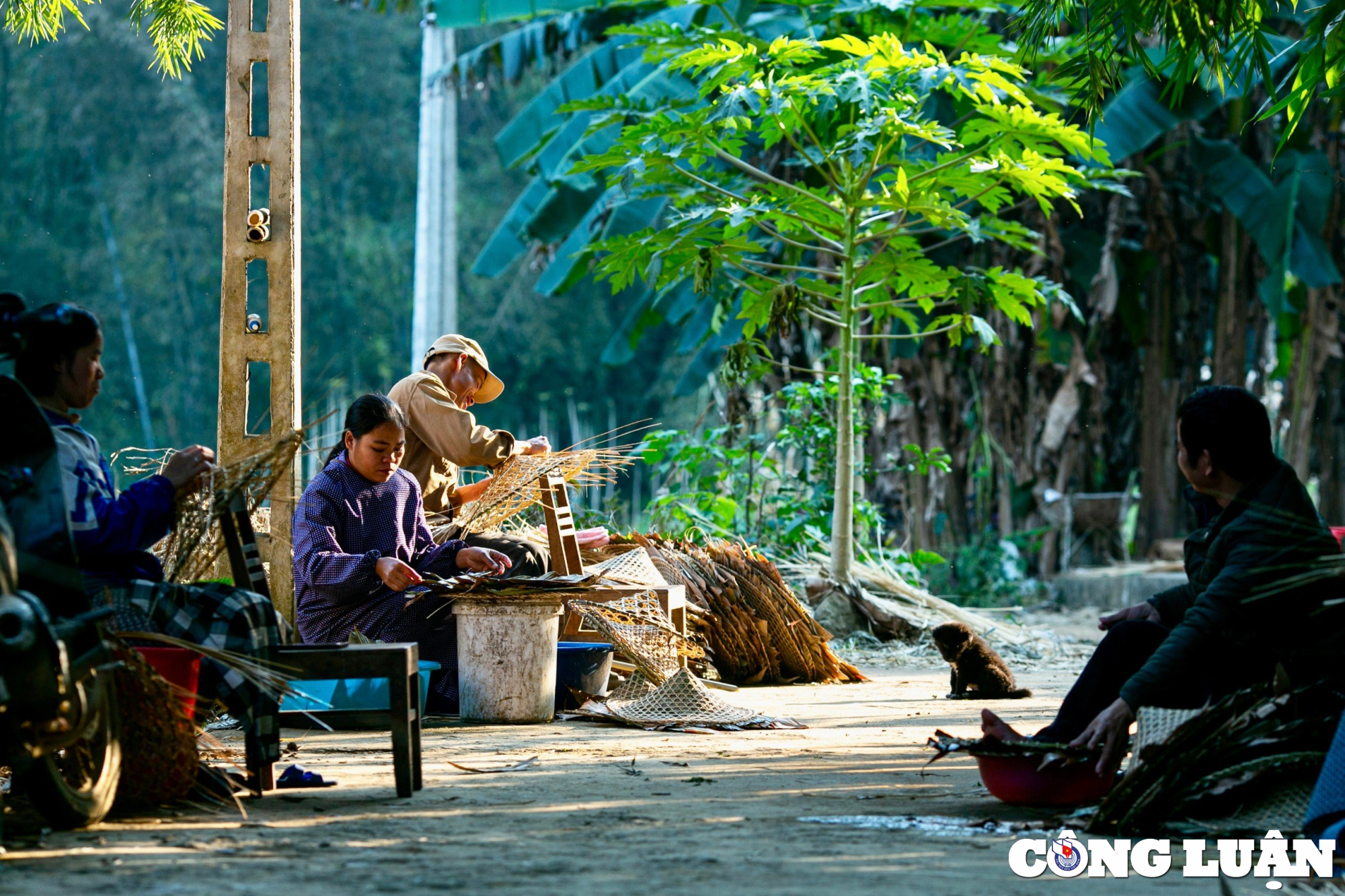 doc dao voi nghe lam non chup xa cua nguoi nung an tinh cao bang hinh 1