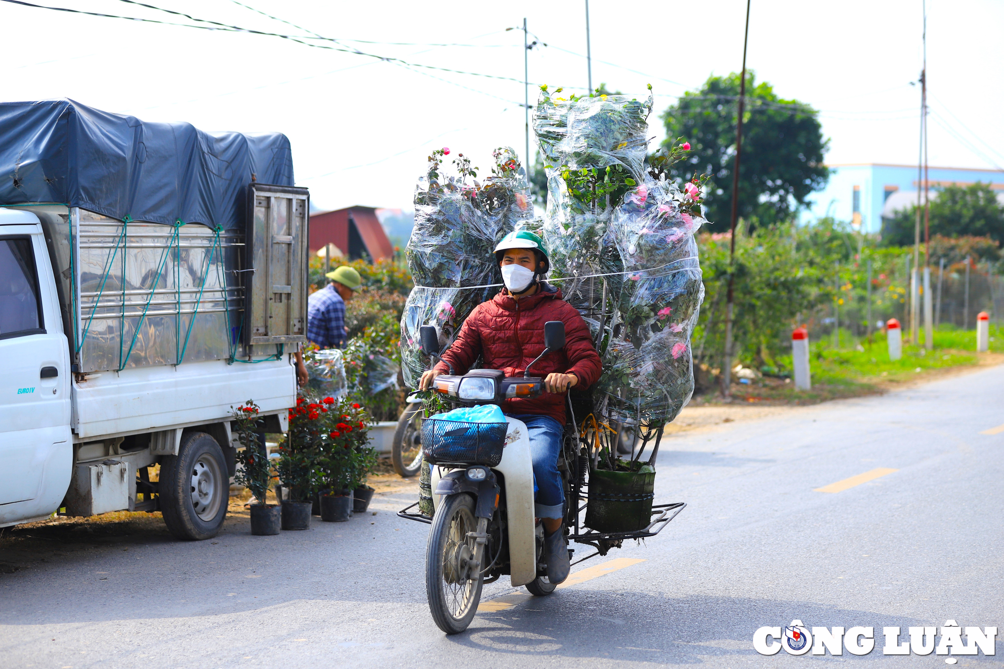 nguoi dan vung hoa ngoai thanh ha noi tat bat vu tet 2024 hinh 10