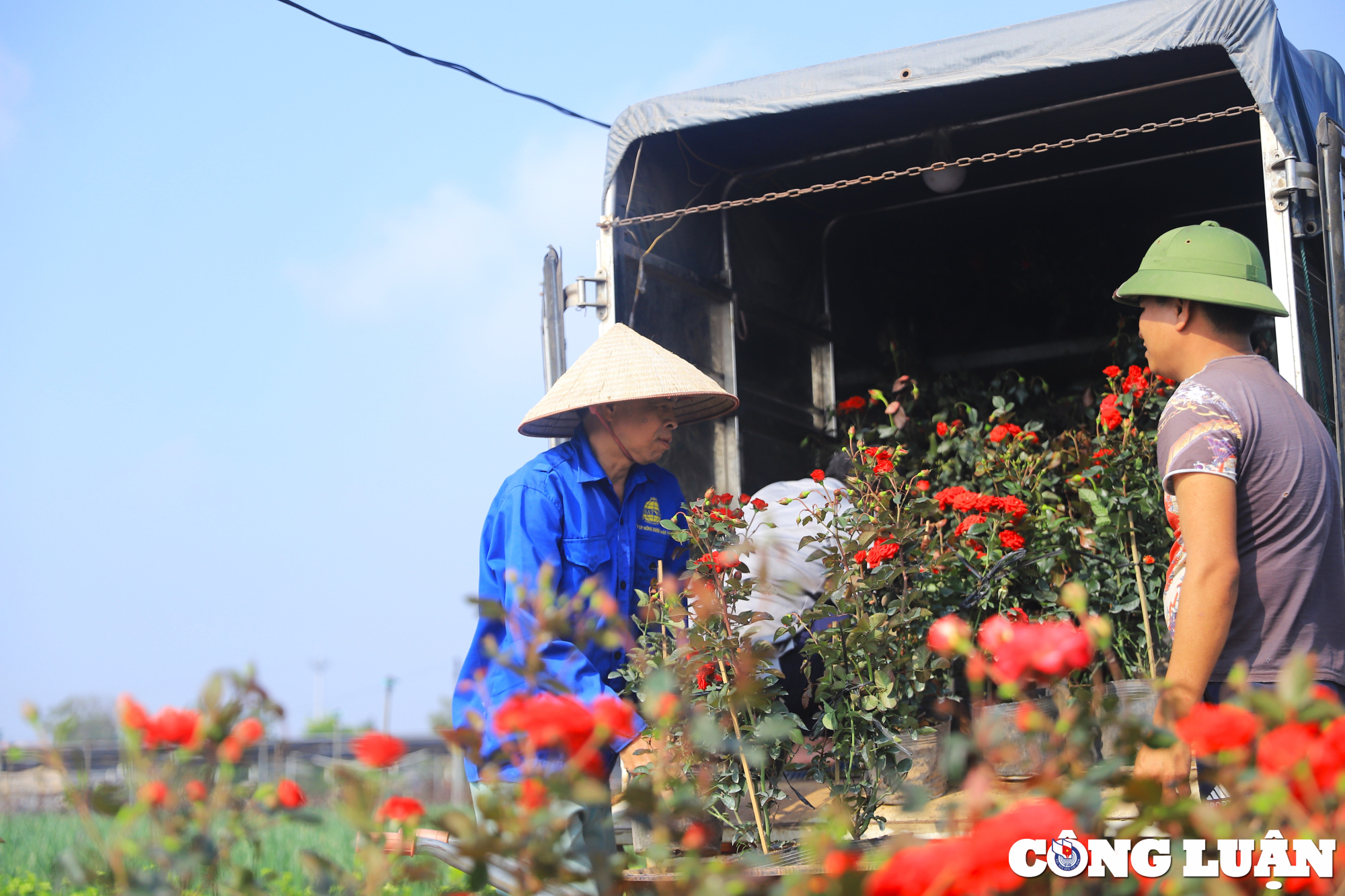 nguoi dan vung hoa ngoai thanh ha noi tat bat vu tet 2024 hinh 11