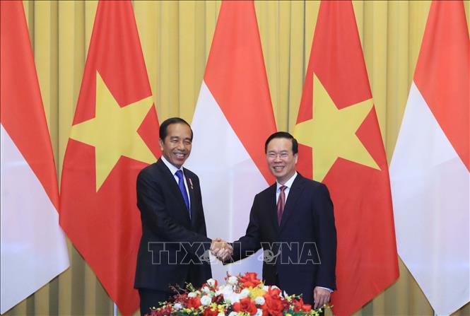 chu tich nuoc vo van thuong hoi dam voi tong thong indonesia joko widodo hinh 1