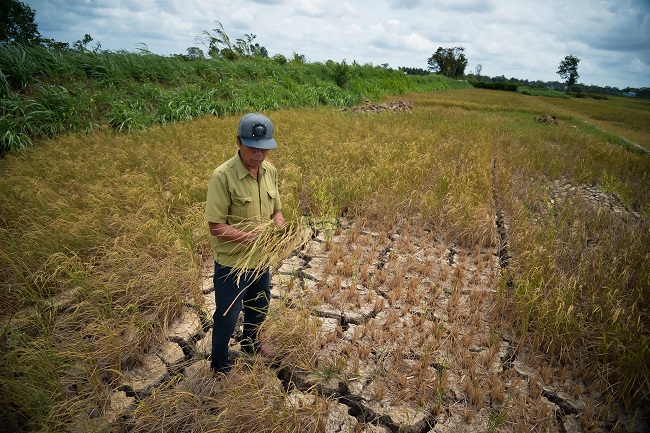 kien quyet khong de bi dong bat ngo trong ung pho nguy co han han thieu nuoc xam nhap man hinh 1