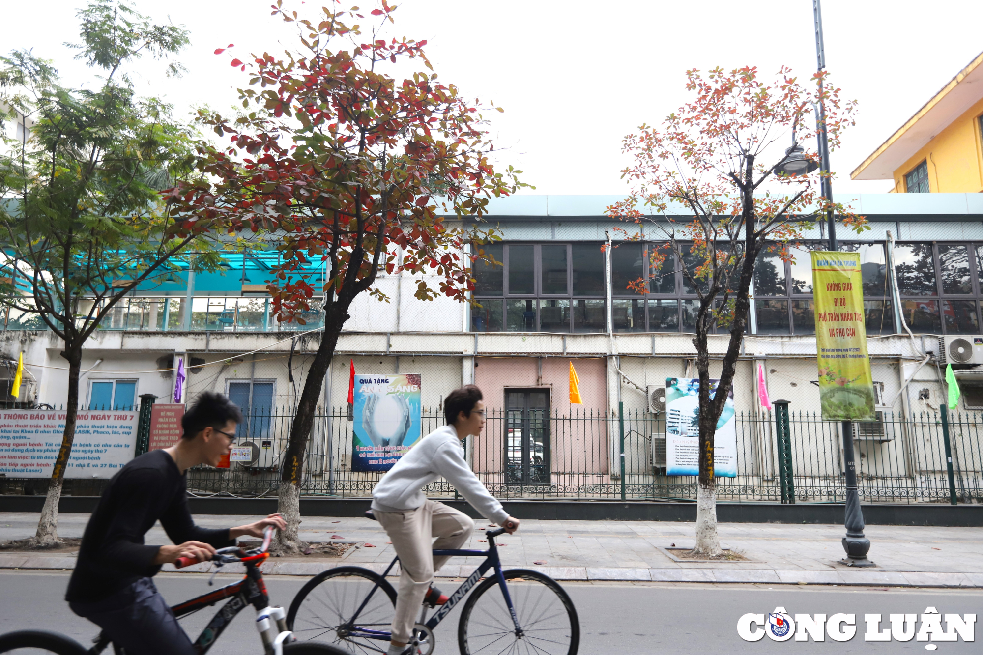 ha noi dep nen tho duoi sac do cua la bang hinh 15