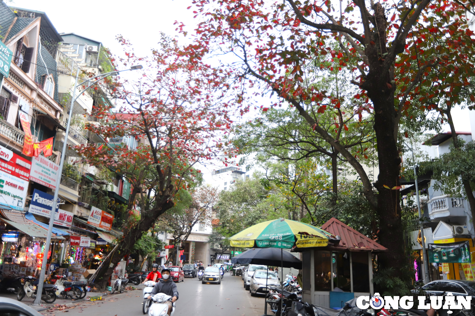 ha noi dep nen tho duoi sac do cua la bang hinh 1