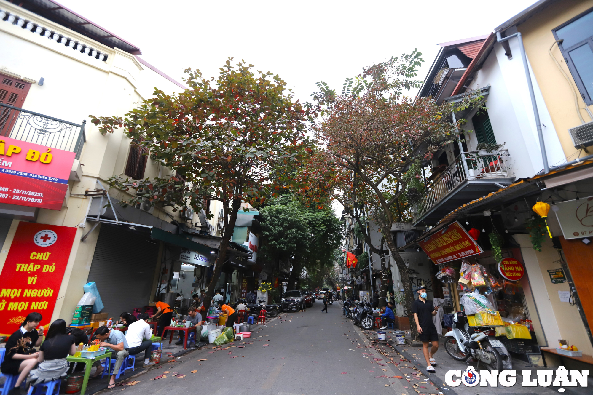 ha noi dep nen tho duoi sac do cua la bang hinh 4