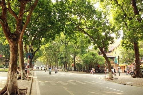 du bao thoi tiet 20 1 2024 ha noi ret ve dem ngay nang hinh 1