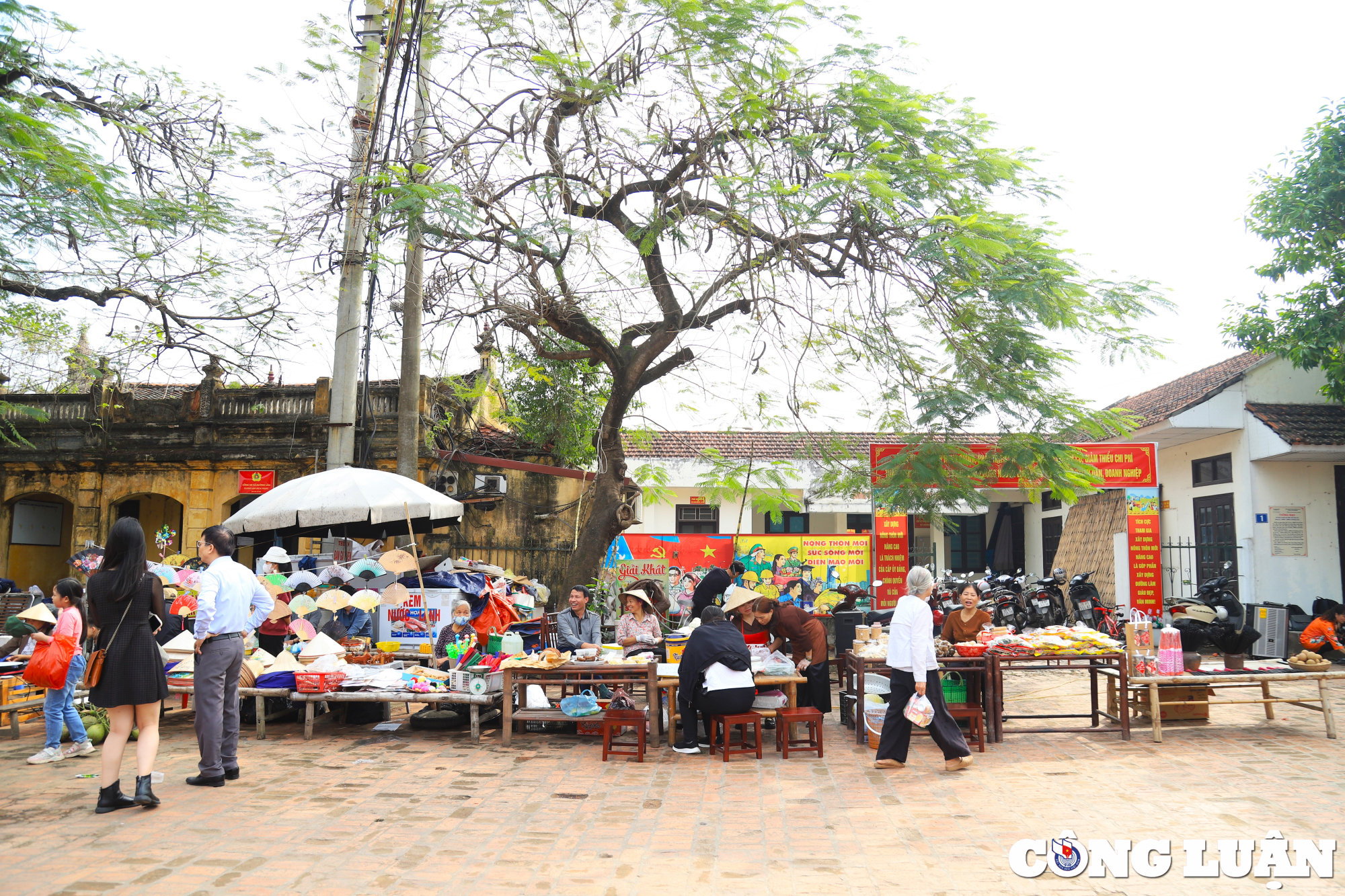 trai nghiem tet lang viet tai lang co duong lam hinh 13