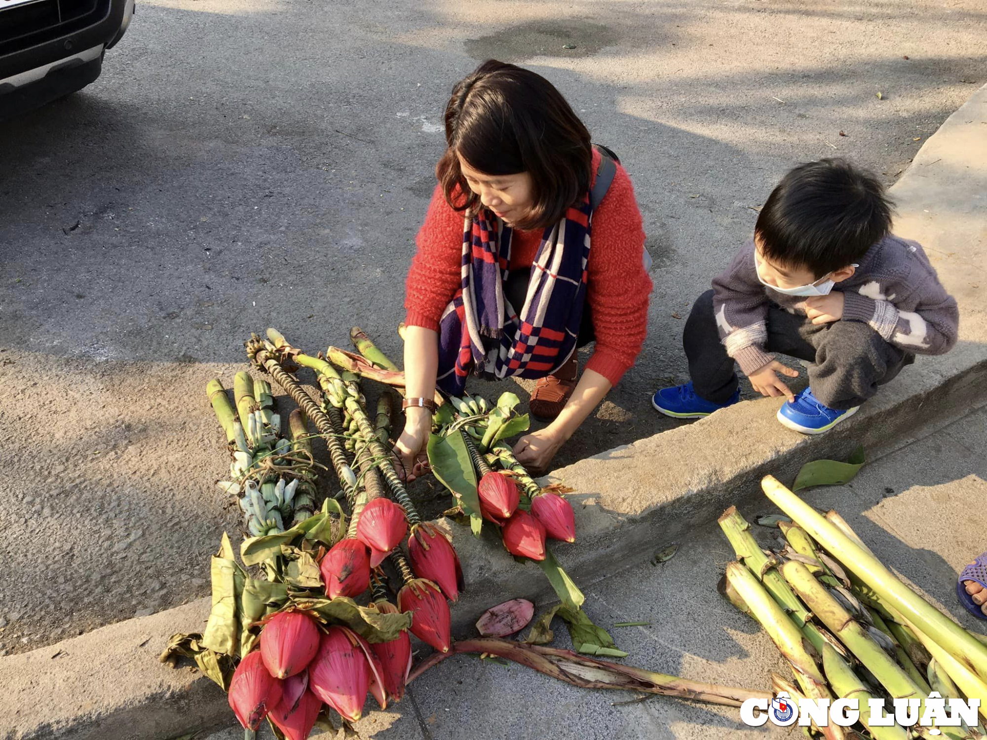 hoa chuoi rung sa pa hut khach chon mua choi tet hinh 3