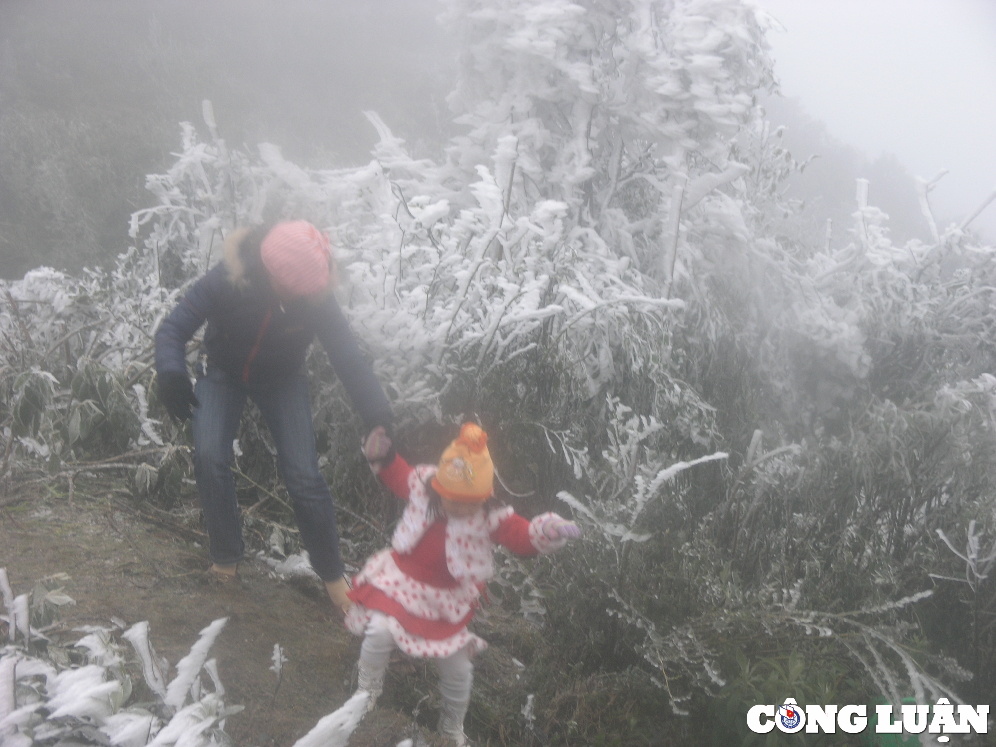 lao cai bang tuyet xuat hien o sa pa tinh hoa toc chi dao phong chong ret hai ret dam hinh 2