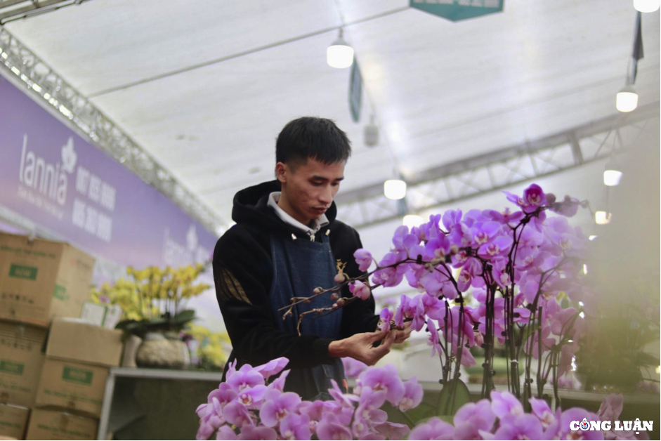 ha noi tho cam hoa lan ho diep kiem tien trieu moi ngay dip tet nguyen dan hinh 2