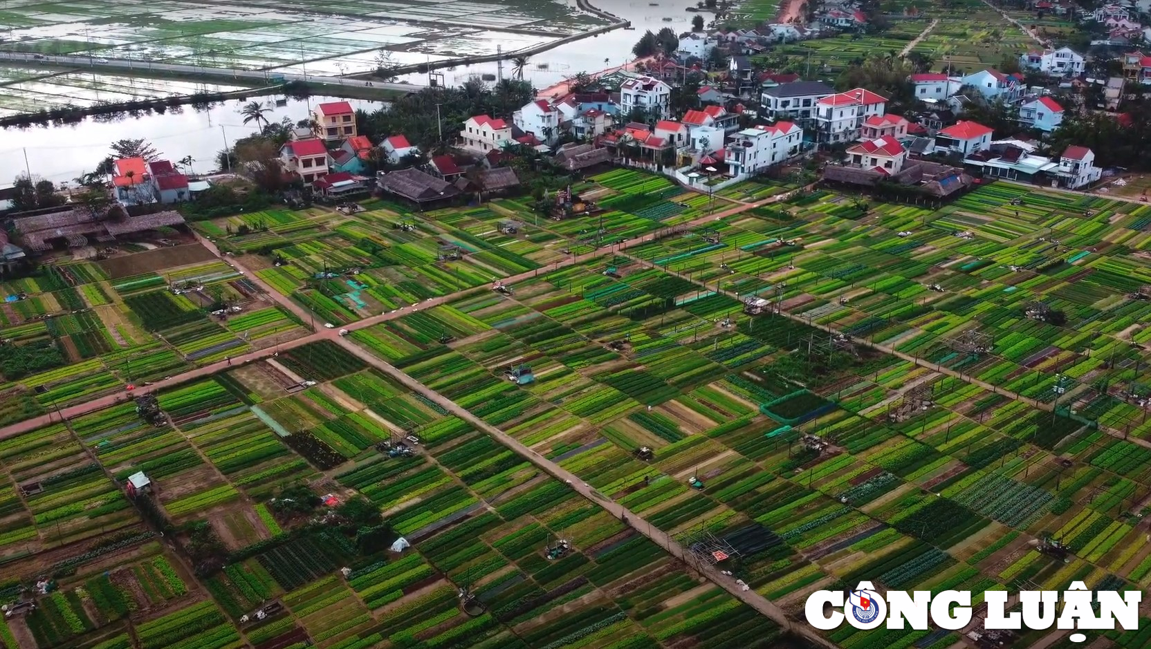 trai nghiem lam nong dan tai vuon rau tra que  hoi an hinh 1