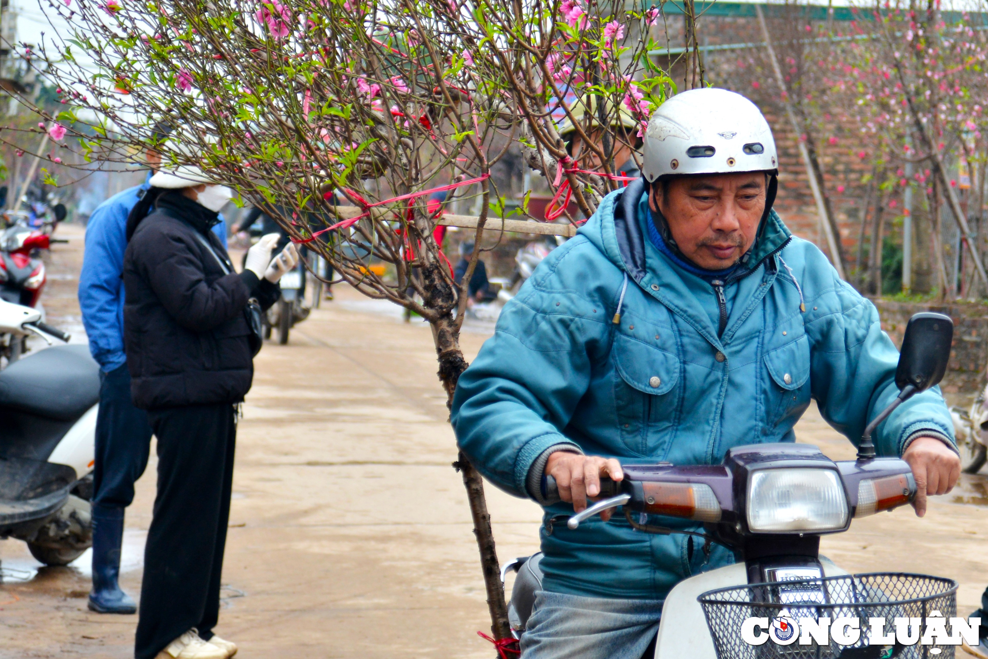 nghe xe om van chuyen dao dip tet kiem tien trieu moi ngay hinh 5