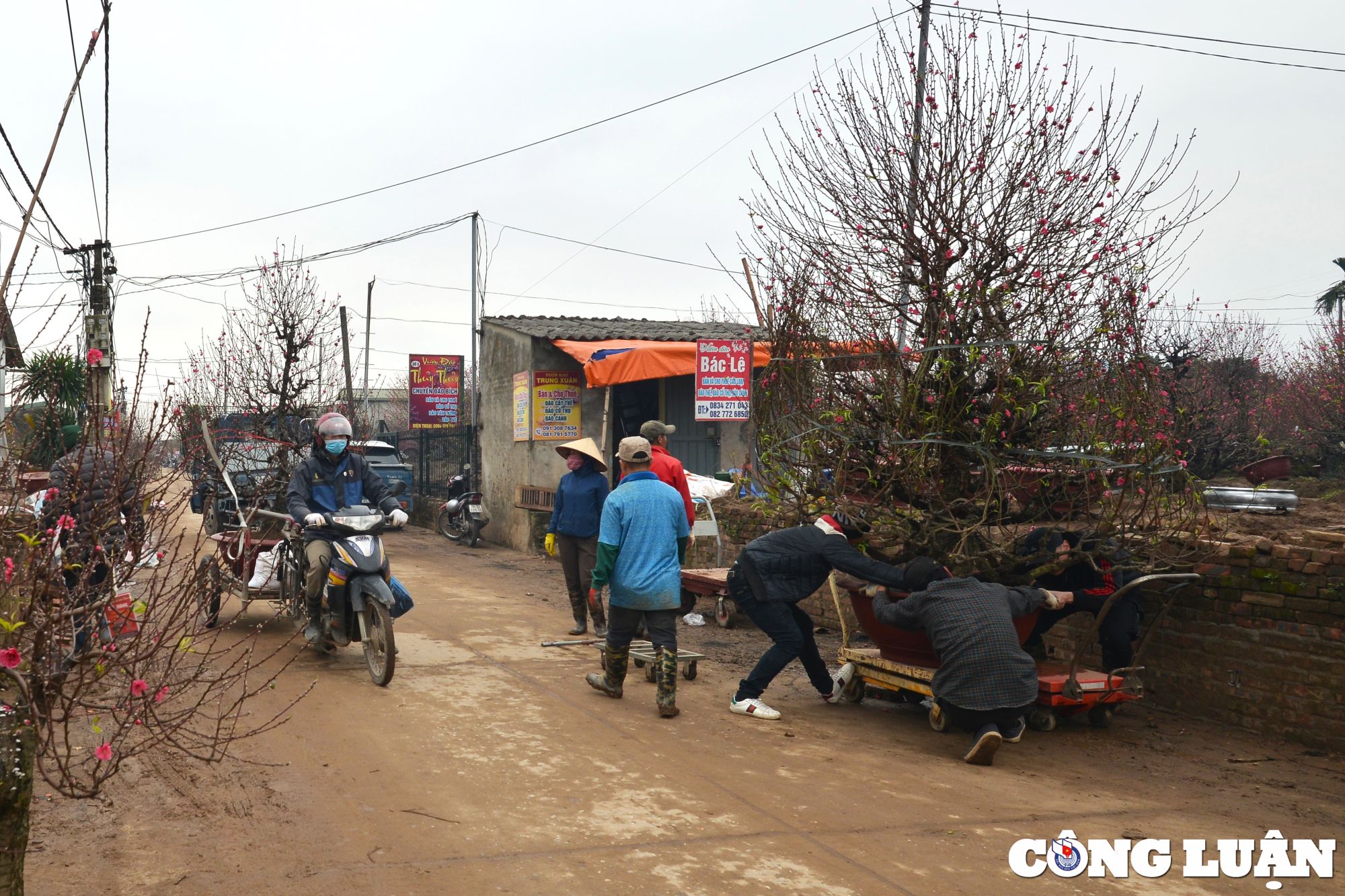 nghe xe om van chuyen dao dip tet kiem tien trieu moi ngay hinh 1