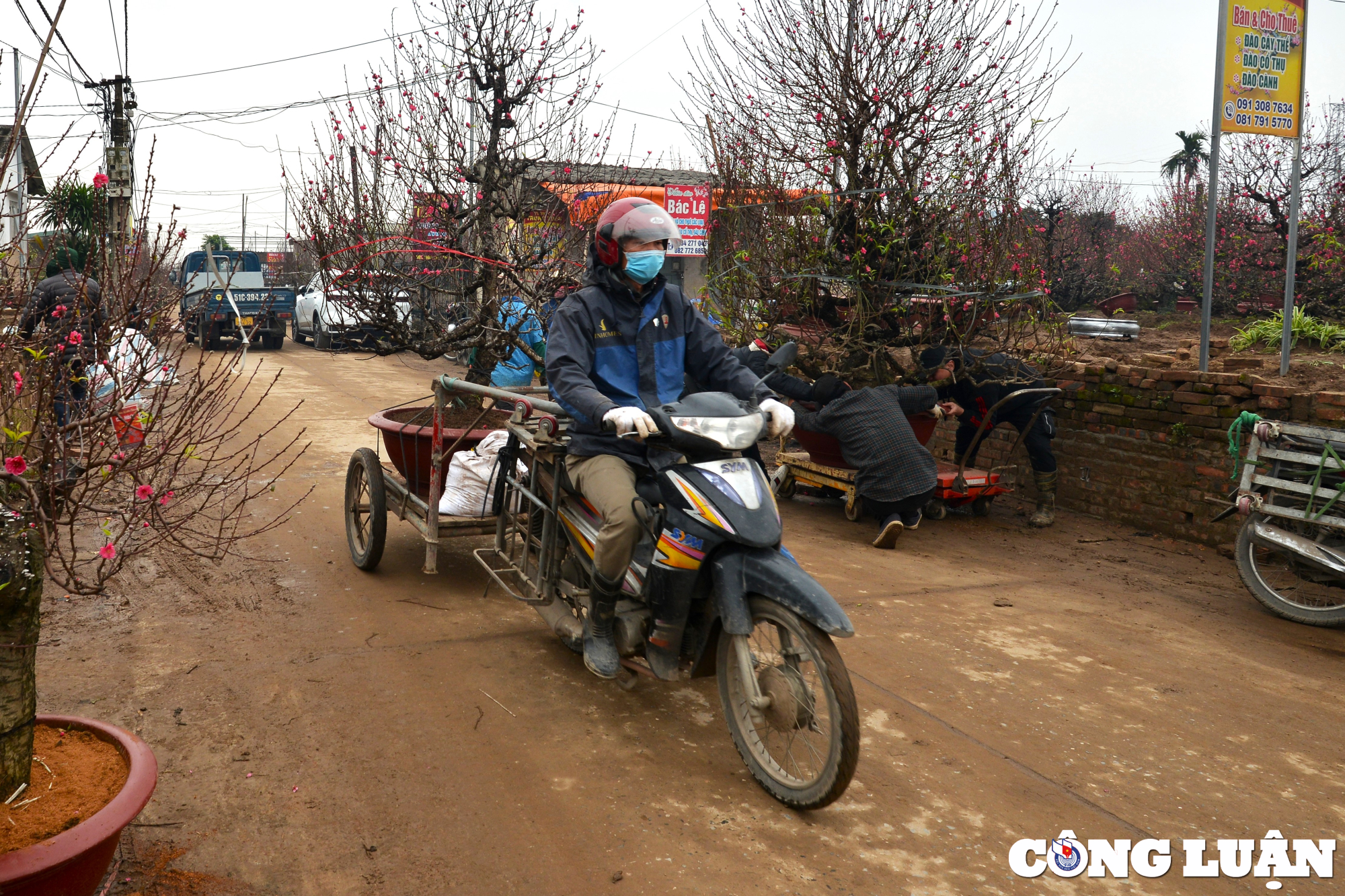 nghe xe om van chuyen dao dip tet kiem tien trieu moi ngay hinh 2