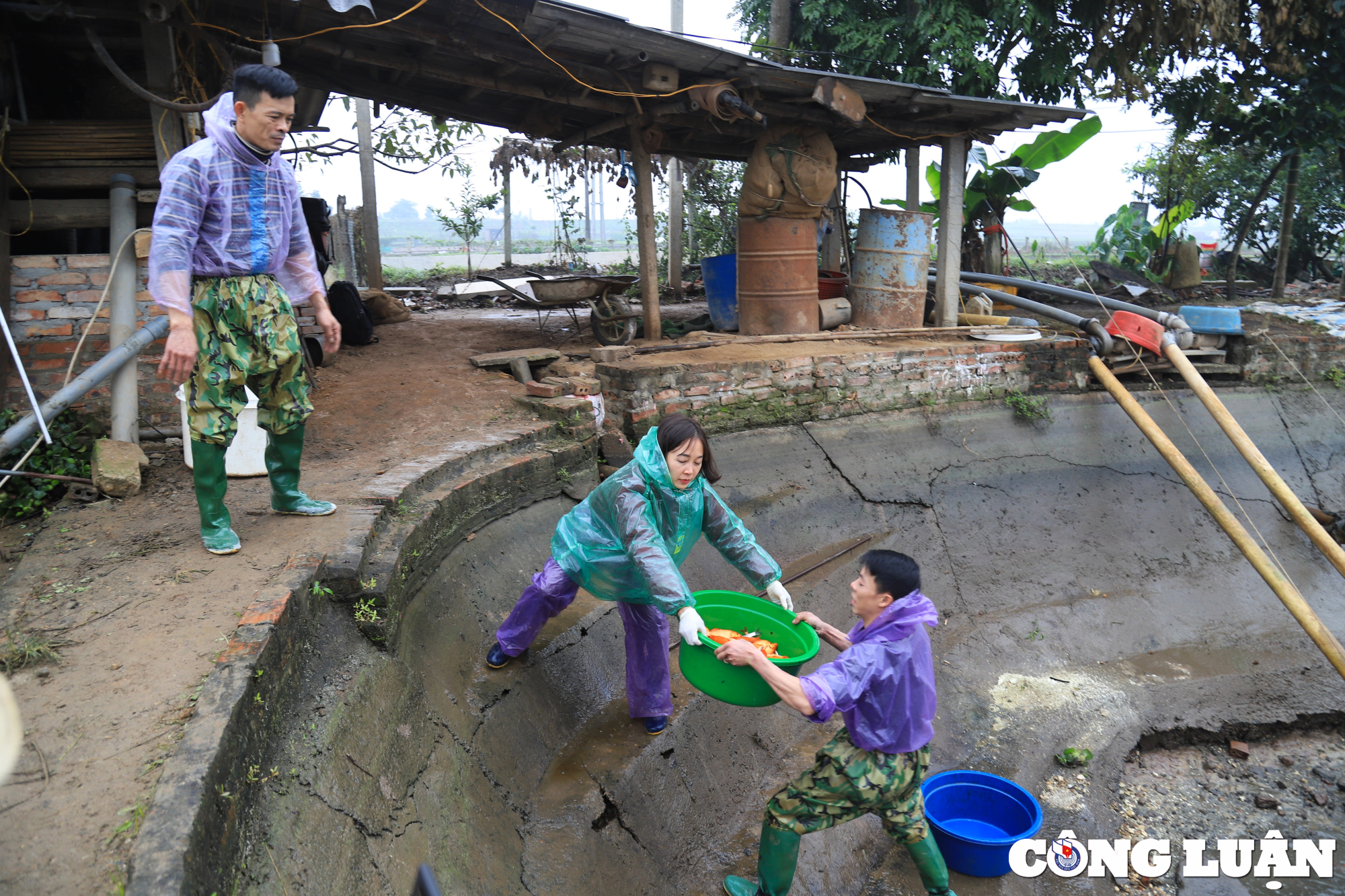 dan lang thuy tram hoi ha vot ca chep do phuc vu tet ong cong ong tao hinh 7