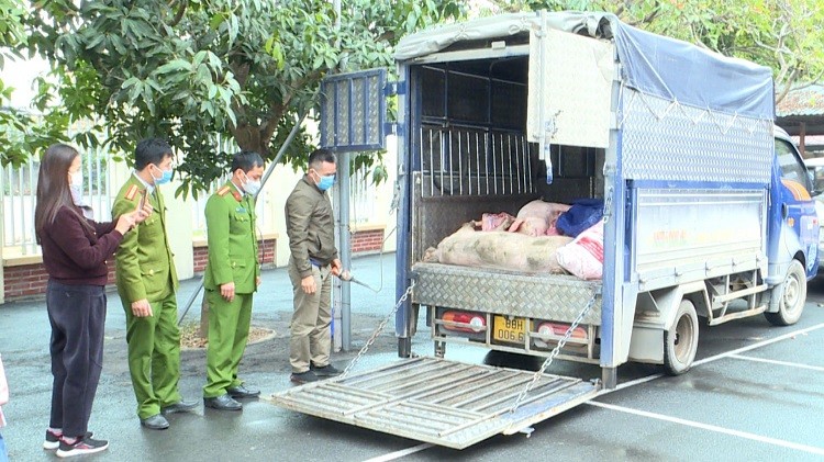 chi dao lap chuyen an dau tranh voi cac doi tuong buon ban van chuyen trai phep dong vat qua bien gioi hinh 1