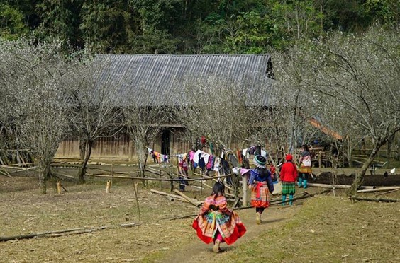 tua chua dien bien day nhanh tien do lam nha cho nguoi ngheo hinh 1