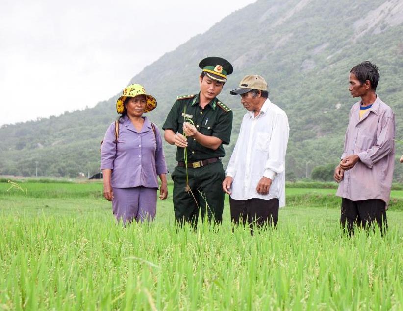 khoi sac tu chuong trinh 1719 tren manh dat ninh thuan hinh 2