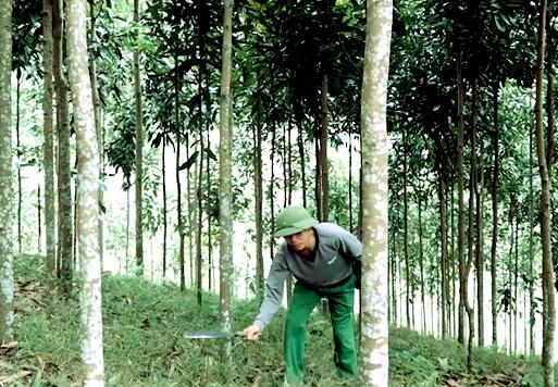 tap trung day nhanh cac du an thuoc cac chuong trinh muc tieu quoc gia hinh 1